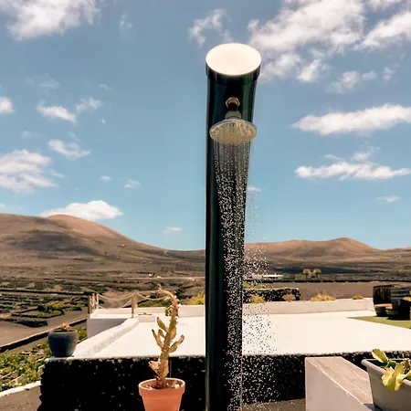 Canaryislandshost I Vinedos *