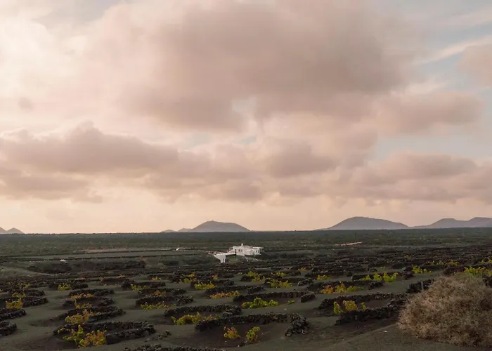 Canaryislandshost I Vinedos Uga