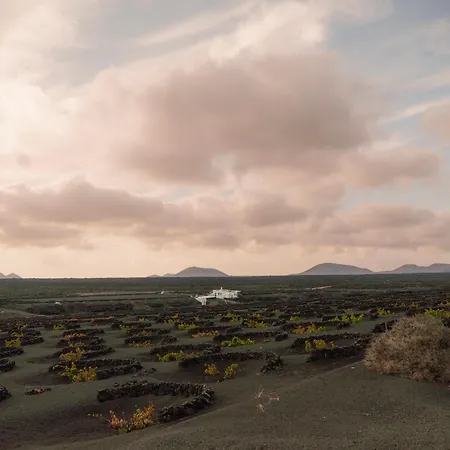 Canaryislandshost I Vinedos Uga