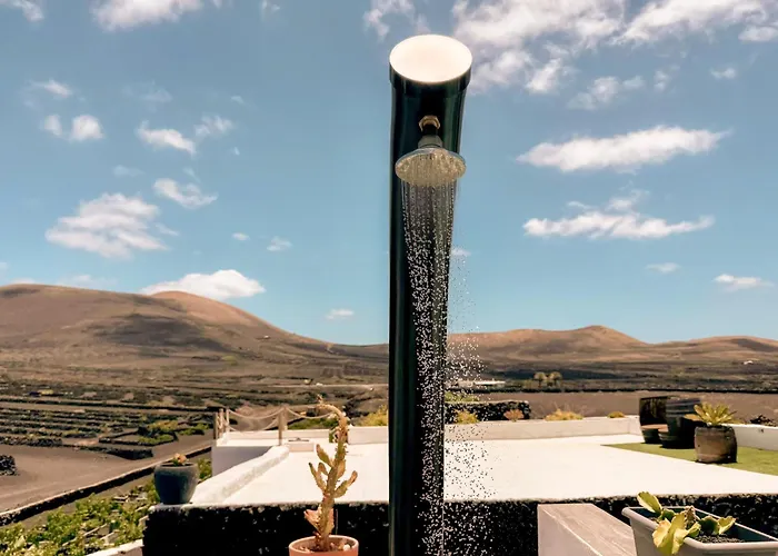 Canaryislandshost I Vinedos *